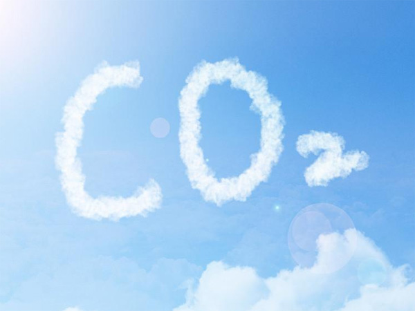 北京市生態(tài)環(huán)境領(lǐng)域不予行政處罰事項清單（2024年版征求意見稿）